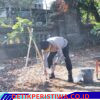 Ciptakan Bali Bersih dan Asri, Wakapolda Pimpin Aksi Bersih-Bersih-bersih Lingkungan dan Penanaman Pohon Melalui Program GREEN POLICING,