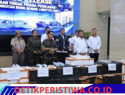 Polri Berhasil Amankan Dua Pelaku, Jaringan Penyelundupan Baby Lobster Lintas Negara