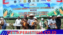 Polisi Peduli Pangan, Polres Aceh Timur Gelar Panen Raya Jagung Kuartal III Tahun 2026