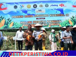 Polisi Peduli Pangan, Polres Aceh Timur Gelar Panen Raya Jagung Kuartal III Tahun 2026