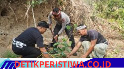 Ciptakan Ruang Publik Hijau dan Bersih, Kapolres Karangasem Pimpin Aksi Bersih-bersih dan Tanam Pohon di Tenganan