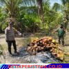 Polres Banyuasin Lakukan Ground Check Hotspot di Desa Muara Telang, Temukan Bekas Pembakaran Batok Kelapa