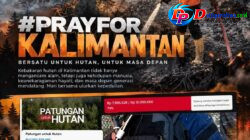Lewat Live Streaming, YouTuber Vincent Avia Berhasil Kumpulkan Donasi Untuk Kalimantan