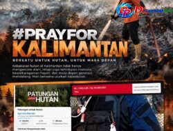 Lewat Live Streaming, YouTuber Vincent Avia Berhasil Kumpulkan Donasi Untuk Kalimantan