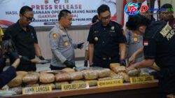 14 Pria Diamankan Dan 39,9 kg Ganja Di sita Oleh Polres Langsa Dalam Pengungkapan Kasus Narkoba