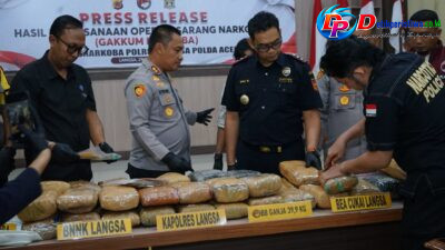 14 Pria Diamankan Dan 39,9 kg Ganja Di sita Oleh Polres Langsa Dalam Pengungkapan Kasus Narkoba
