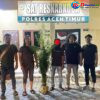 Polres Aceh Timur Berhasil Ungkap Kebun Ganja di Peureulak