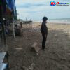 Pantai Pasie Lhok Kembang Tanjung Luput dari Perhatian Pemerintah