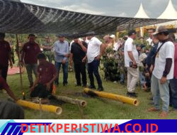 Dentuman Teut Bude Menggema di Paya Kareung, 17 Kecamatan Bersaing Meriahkan HUT Bireuen ke-27