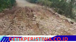 Proyek Pengerasan Jalan Sungai Tabir–Telentam Hampir Rp2 Miliar Disorot, Kualitas Pekerjaan Dipertanyakan