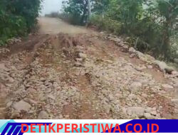 Proyek Pengerasan Jalan Sungai Tabir–Telentam Hampir Rp2 Miliar Disorot, Kualitas Pekerjaan Dipertanyakan
